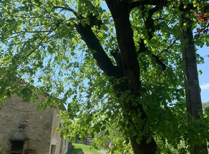 Les De La P'tite Vallee