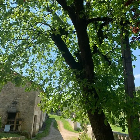 Les De La P'tite Vallee